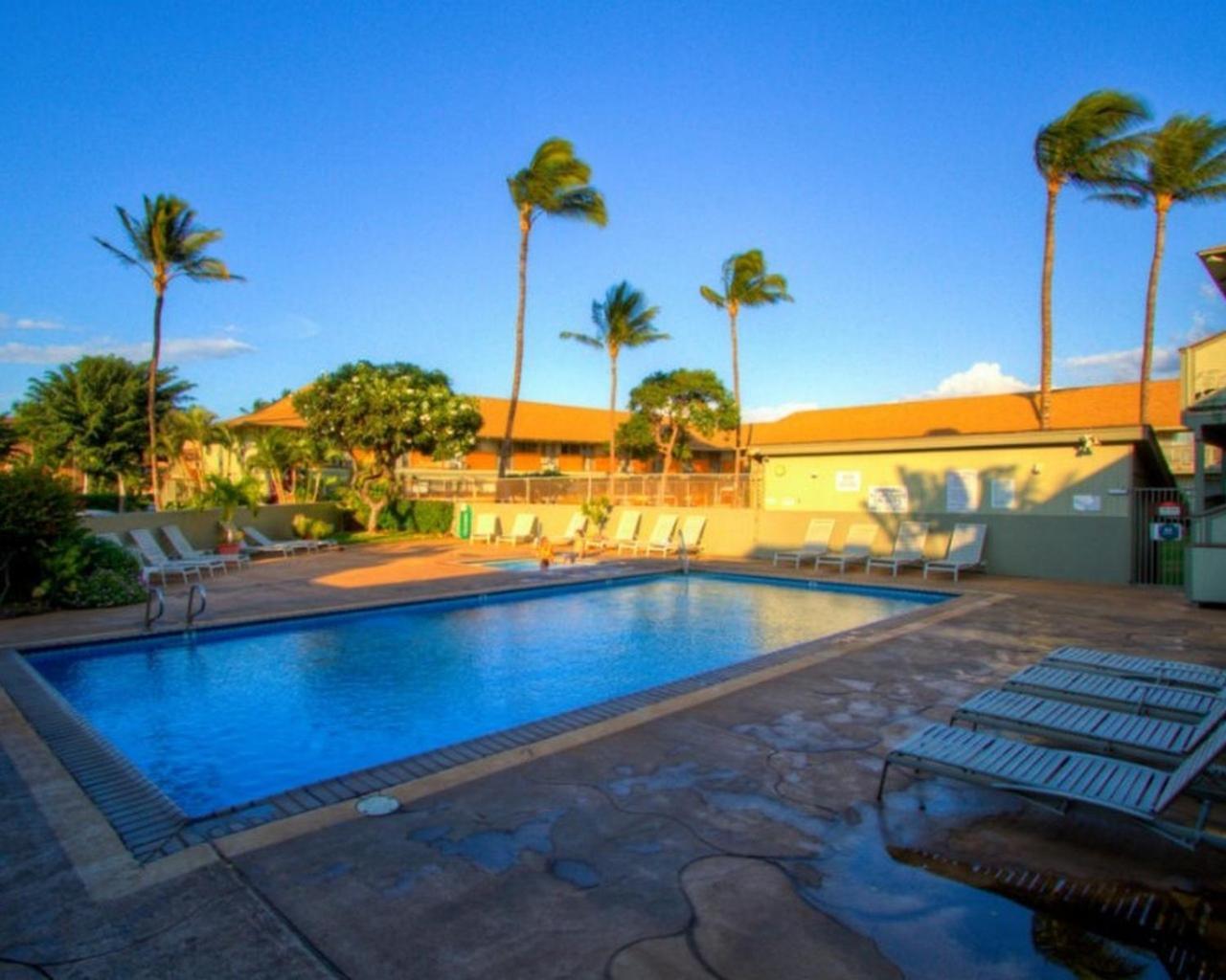 Kihei Bay Surf 130- Garden View Studio, Free Parking Dış mekan fotoğraf